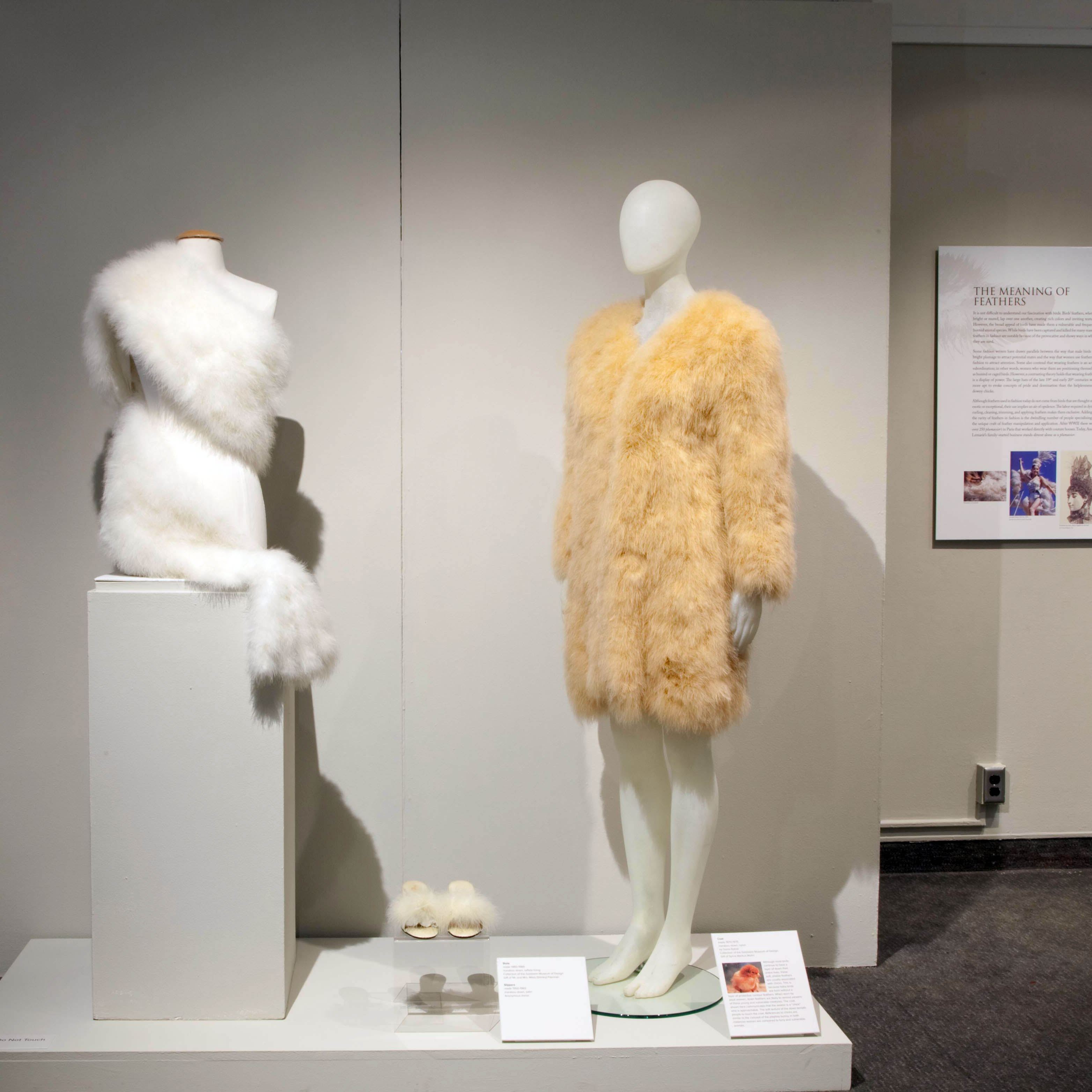 Flights of Fancy: A History of Feathers in Fashion clothing on mannequins in gallery