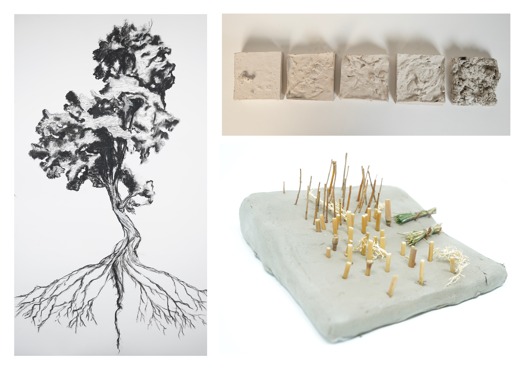 Work by Espen Tandy, Daniela Diaz, and Margaret Milligan