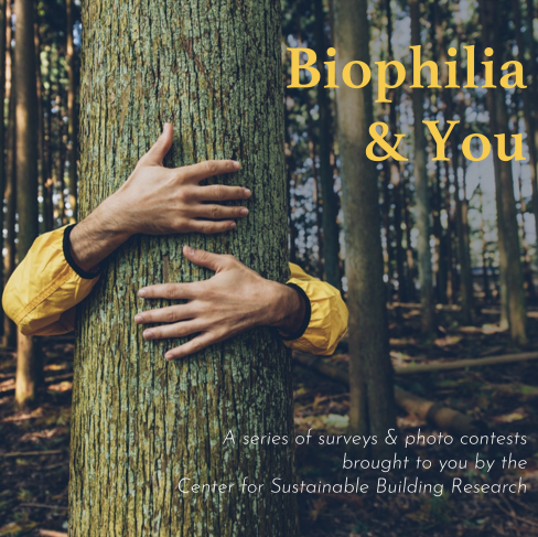 A person hugs a tree with the text "Biophilia & You"