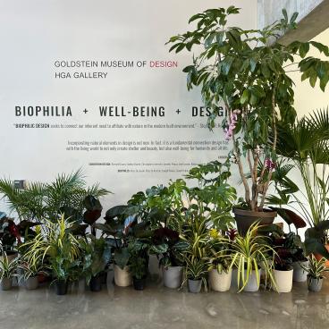 A picture of the biophilia exhibition entrance