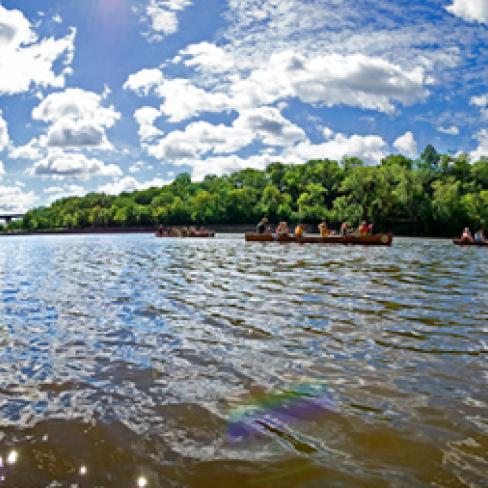 A lake with many people canoeing reflects a blue sky with white clouds and trees in the background